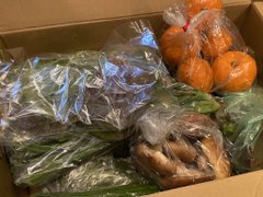 野菜宅配 利用者 声